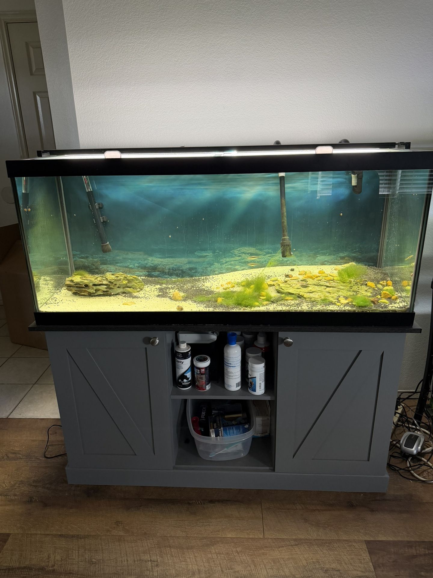 75 gallon fish tank