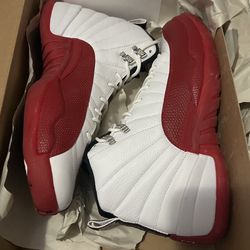 Cherry Air Jordan 12 Sz 10.5 From 2009 