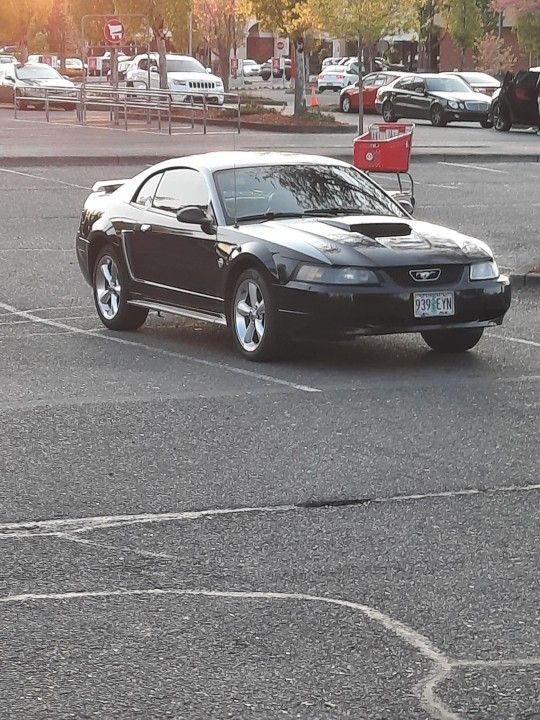 2003 Ford Mustang