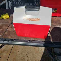 Igloo Lunchbox/cooler