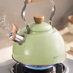 Stainless Steel Whistling Water Kettle – Induction & Gas Stove Safe, 2.5L, Retro Style
