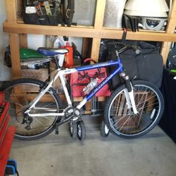 4 bikes $100 giant vertical  janis durango  19"