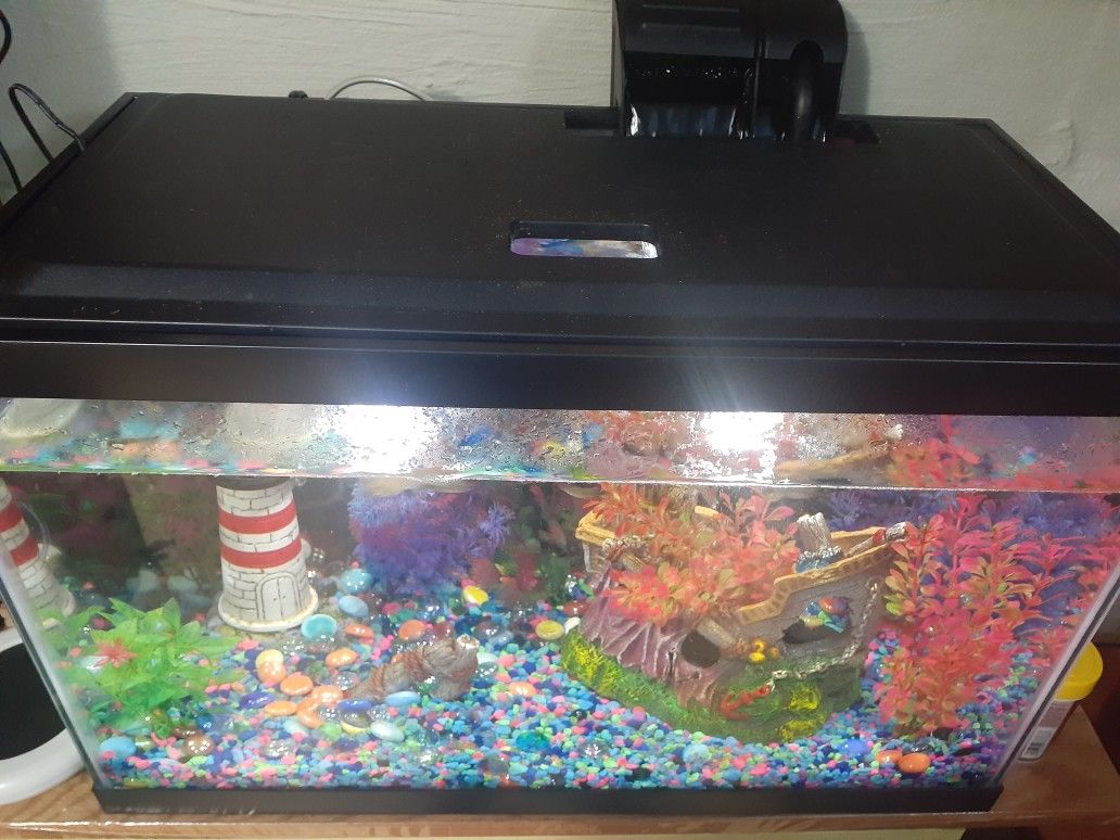 10  Gallon Fish Tank