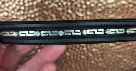 Beautiful brow band for horses.