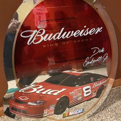 Dale Earnhart Jr. Mirror