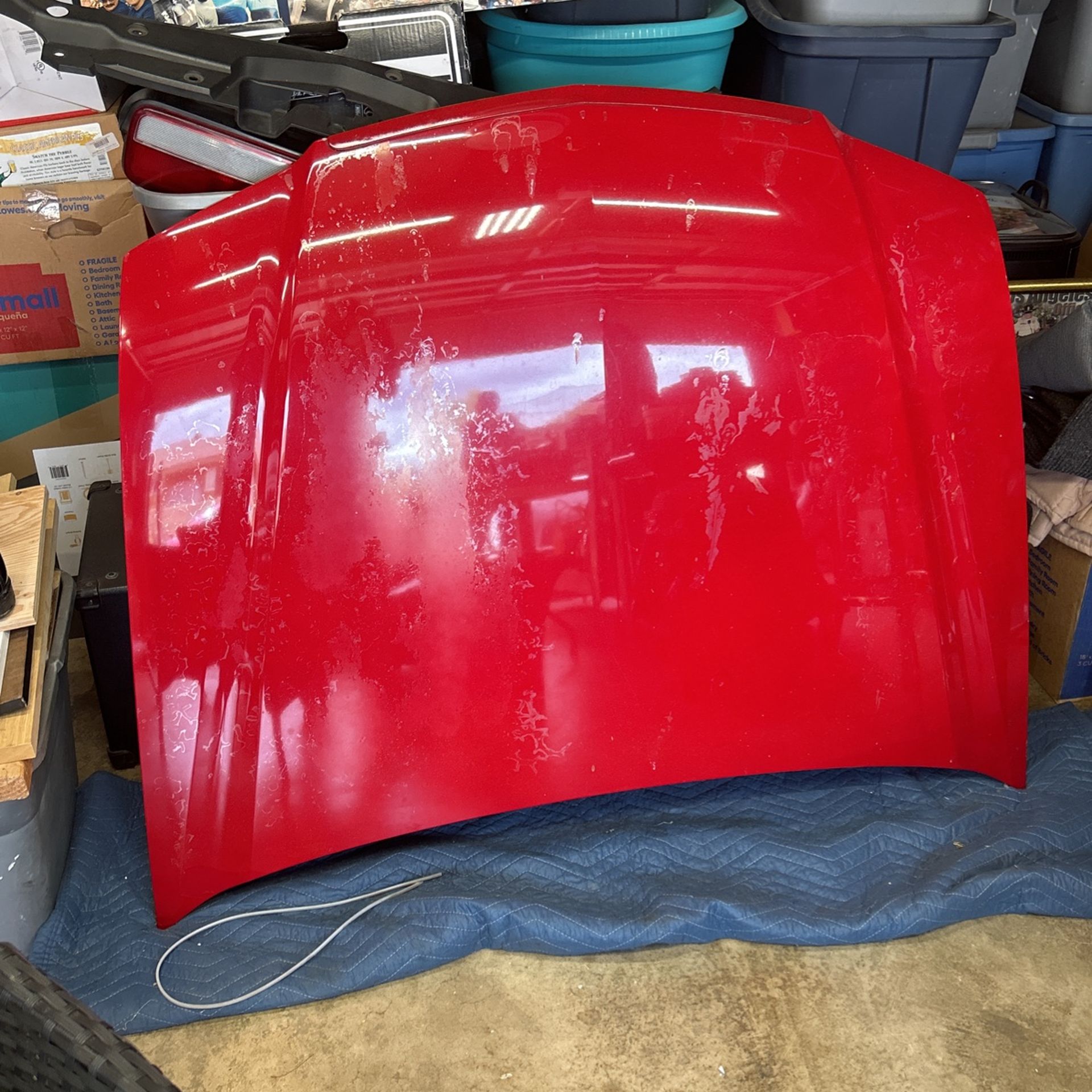 2006 Acura Tsx Hood