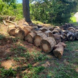 Free Fire 🔥 Wood 