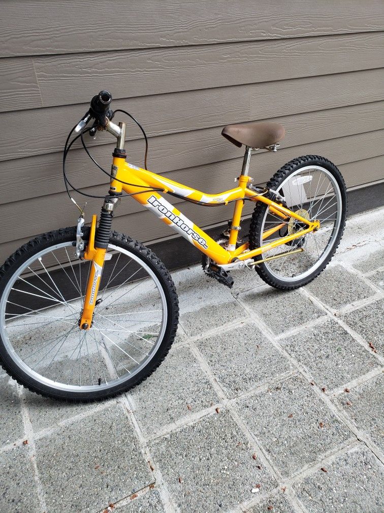 Iron Horse Bike