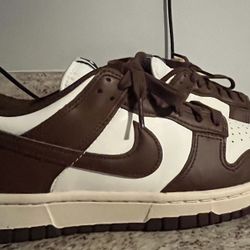 Nike Dunks 