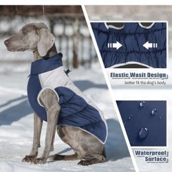 Snow Jacket Dog