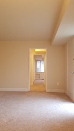 The two brothers Painters