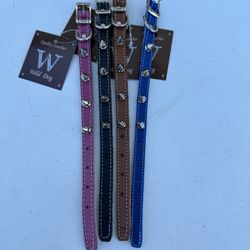 Dog Collars 