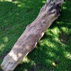 Natural Driftwood For Aquariums Terrariums Decor 