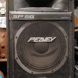 2 Peavey SP5G passive speakers, pole mount, 15" woofers and horns, solid, heavy, loud.