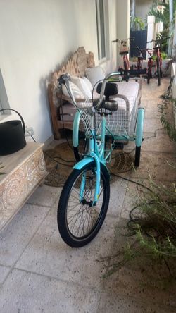 Adult Tricycle with Rear Basket