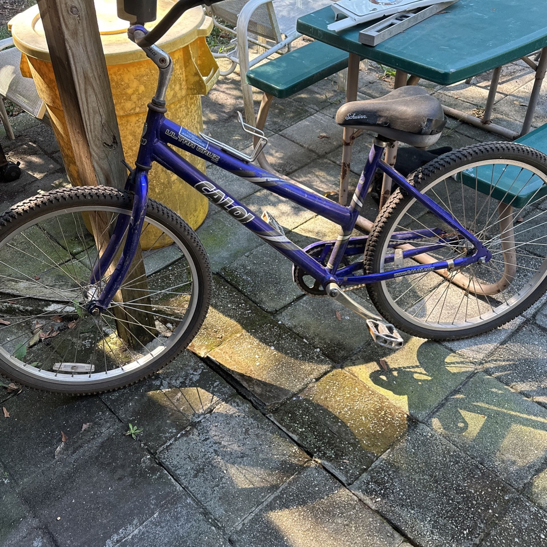 Caloi 2024 beach cruiser