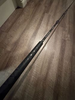 Daiwa Proteus 8’ Hvy 20-50 salt water conventional fishing rod.