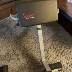 45 Degree Hyperextension Roman Chair