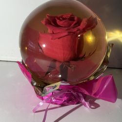 Pink Rose Globe