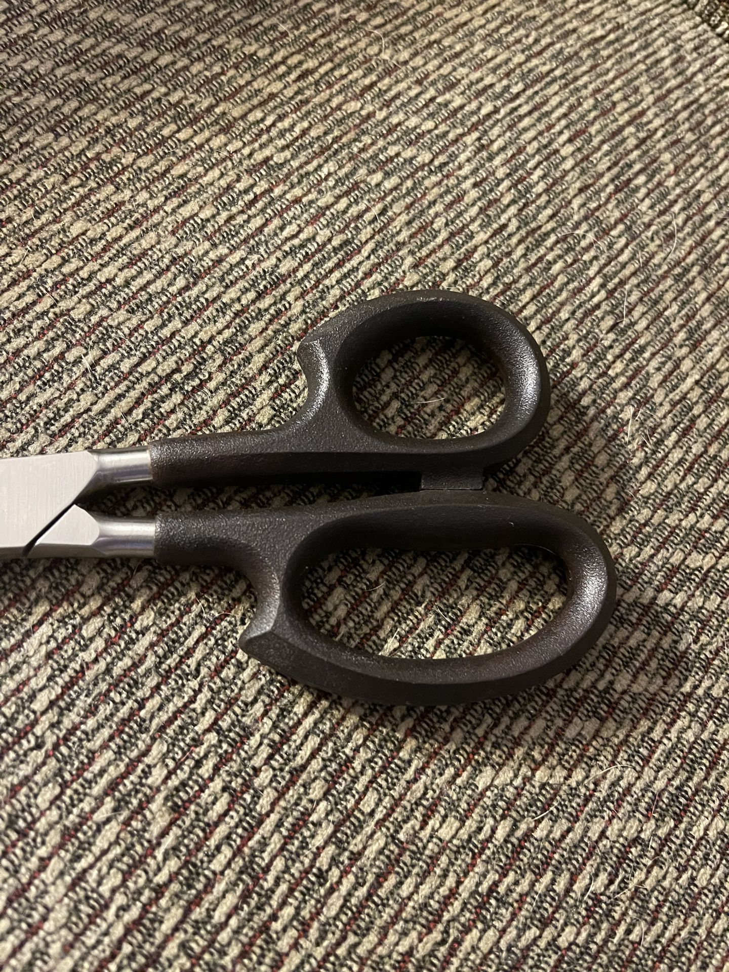 Crazy Scissors Set #002 for Sale in Chicago, IL - OfferUp