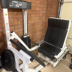 Paramount Commercial Leg Press