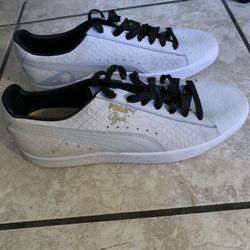 PUMA