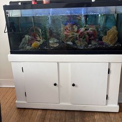 75 Gallon Fish Tank