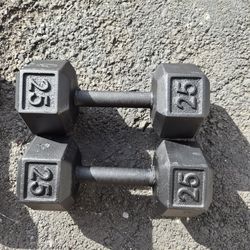 Pair Of Dumbbells  25pounds 