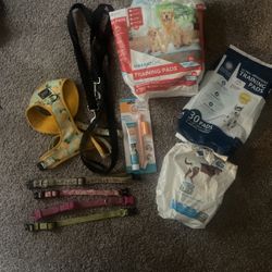 Puppy/ Dog Supplies 
