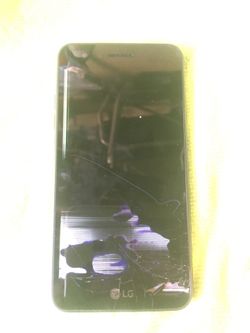 Cricket lg