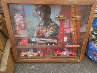 Dale JR Collectible I