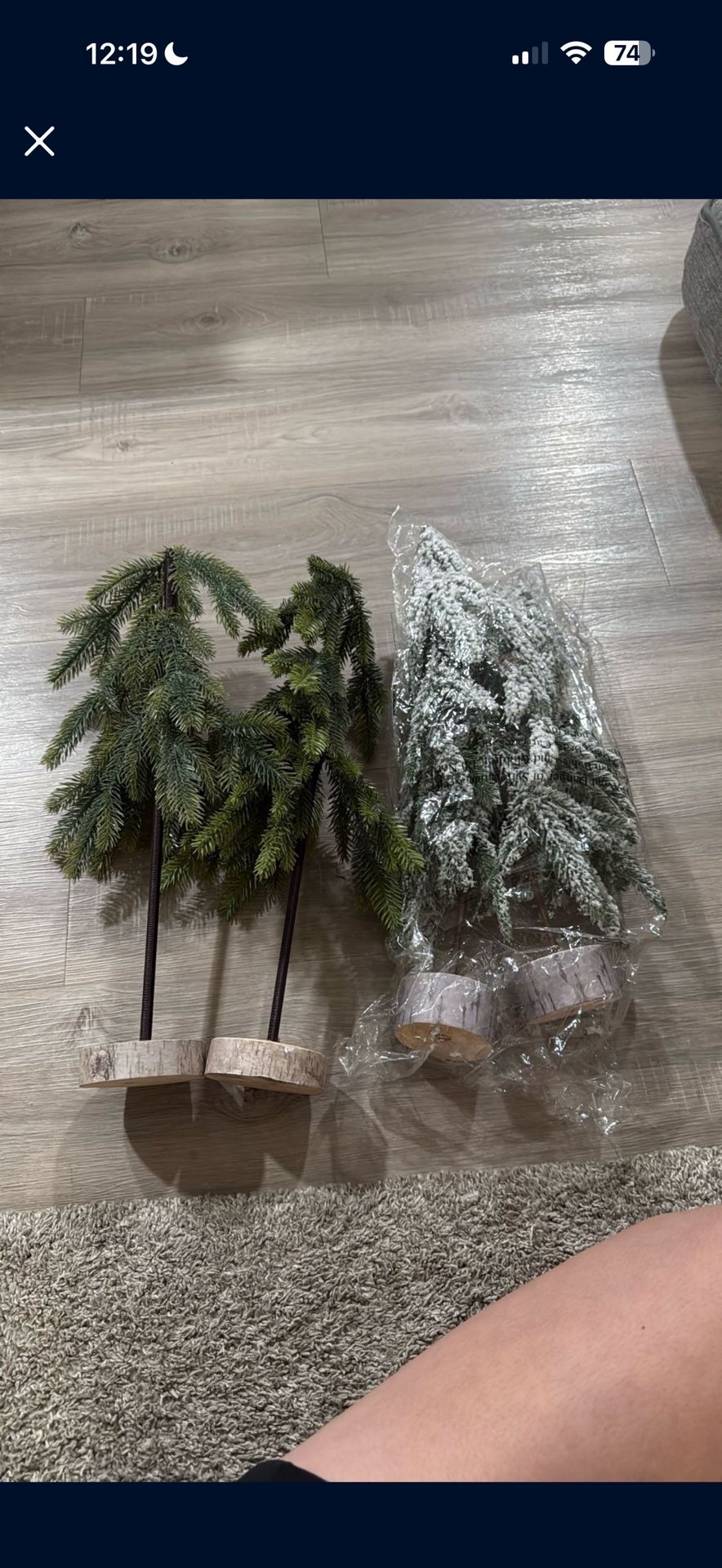 Christmas Trees