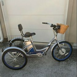 Electric Tricycle 