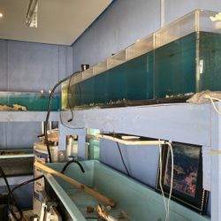 Aquariums 