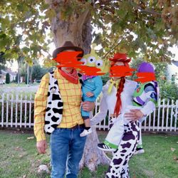 Toy Story Family Halloween Costume 