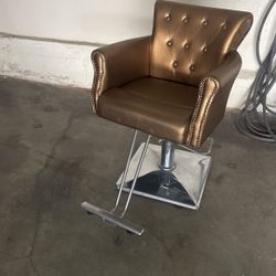 Salon /Barber Chair