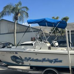 18ft Wellcraft Fishing Boat – Mercury 115HP + Trailer