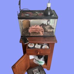 Reptile Terrarium (Aquarium, Lizard, Lamp, Mister, Heat Pad, Etc)