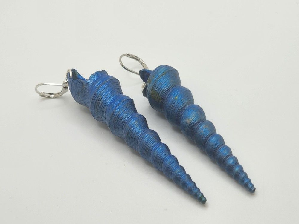 Blue Clonch Shell Earrings