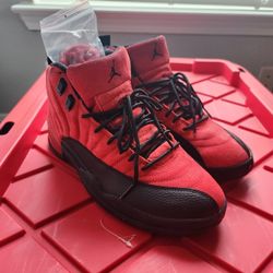 Air Jordan 12 Reverse Flu Game