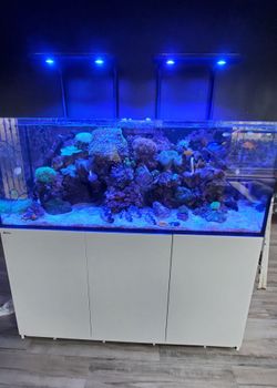Red Sea Reef Aquarium with Cabinet Stand