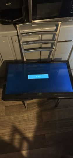 Insignia Flat Screen TV