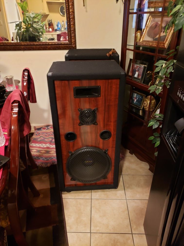 2 subwoofer speakers must go