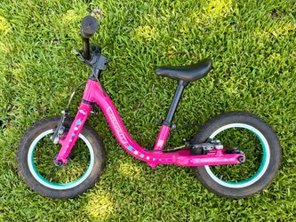 GUARDIAN push bike