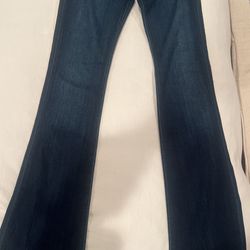 Agave Goddess Flare Jeans - NWT 29 