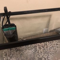 10 Gal Fish Tank 