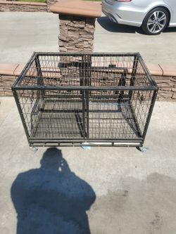 Cages All Firm