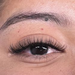 Lashed Extensions 