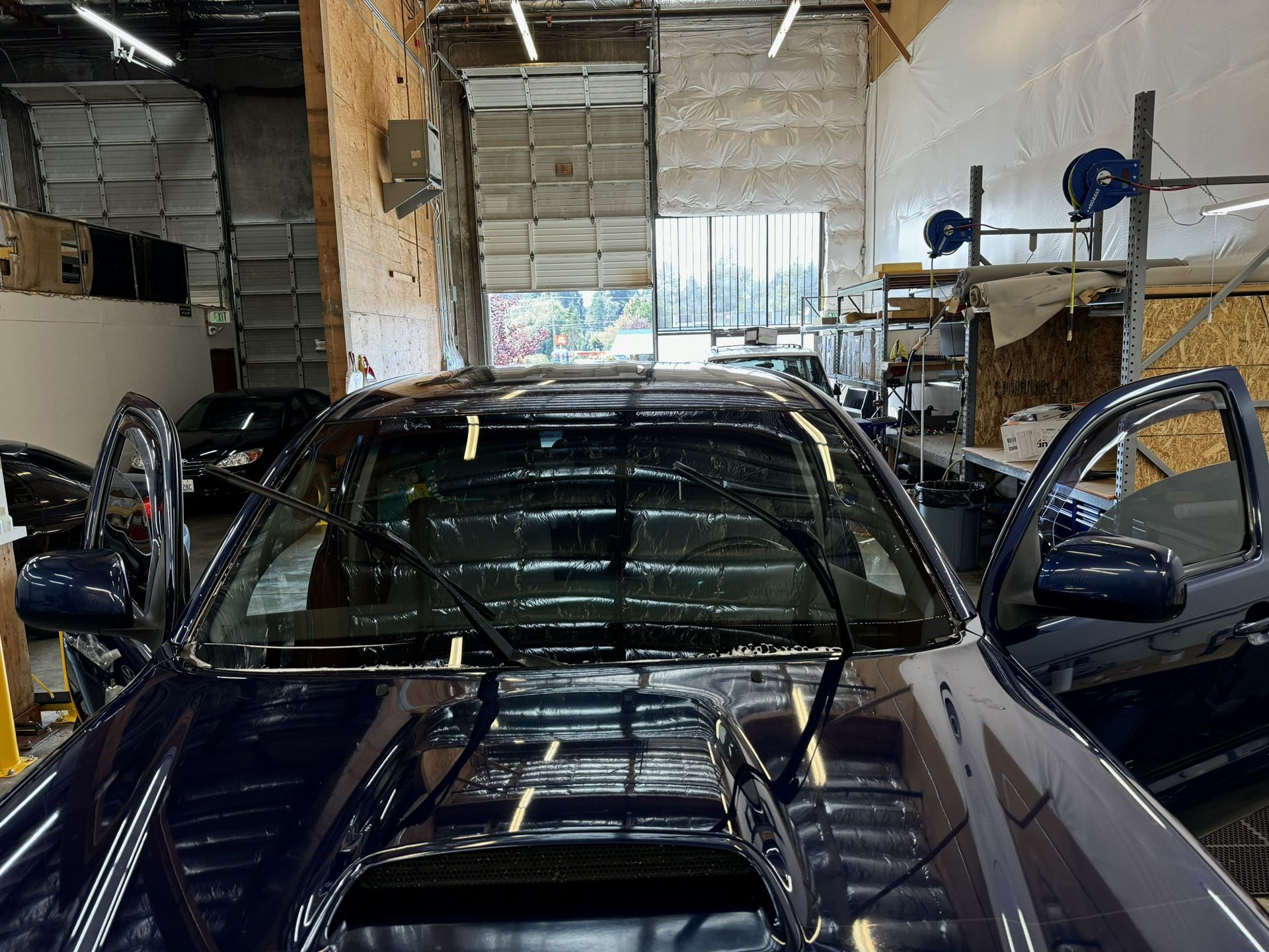 Windshield Tint