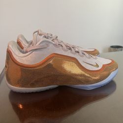 Nike Lebron 